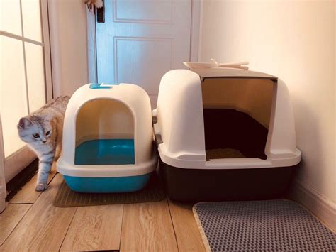 Keeping Your Cat's Indoor Environment Clean and Fresh with a Magic Blue Litter Box